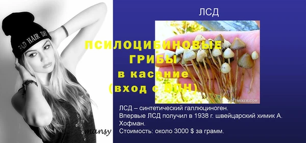 ECSTASY Абаза