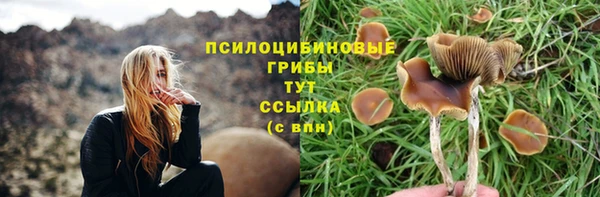 гашик Абдулино