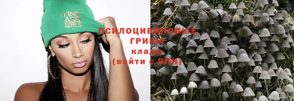 гашик Абдулино