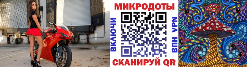 Галлюциногенные грибы Psilocybe  Ярославль 